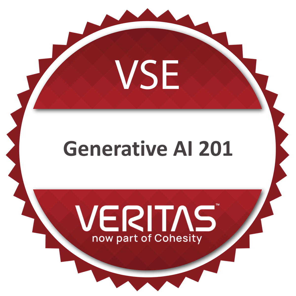 VSE Veritas Generative AI 201