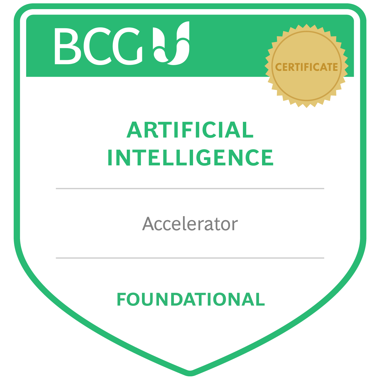 Artificial Intelligence: Accelerator