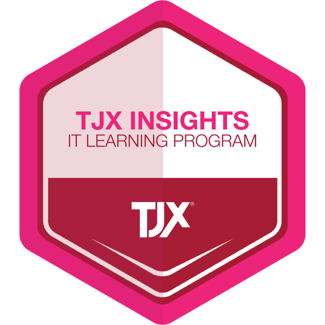 TJX Insights Learning Program