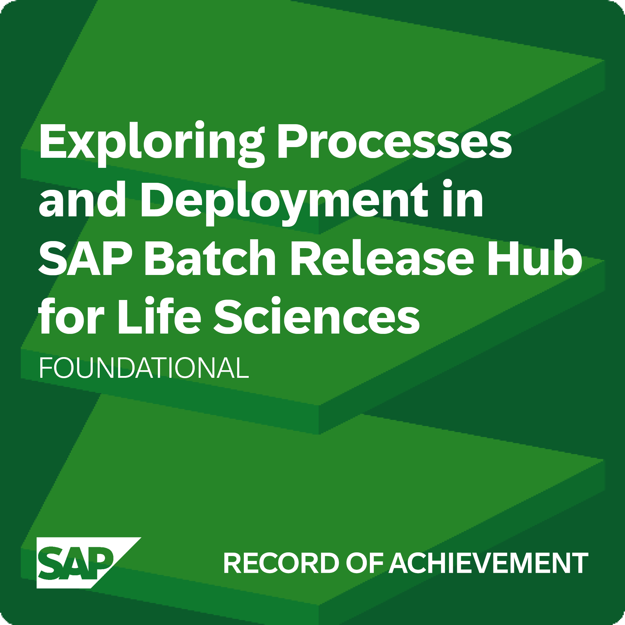 Exploring Processes and Deployment in SAP Batch Release Hub for Life Sciences - Record of Achievement