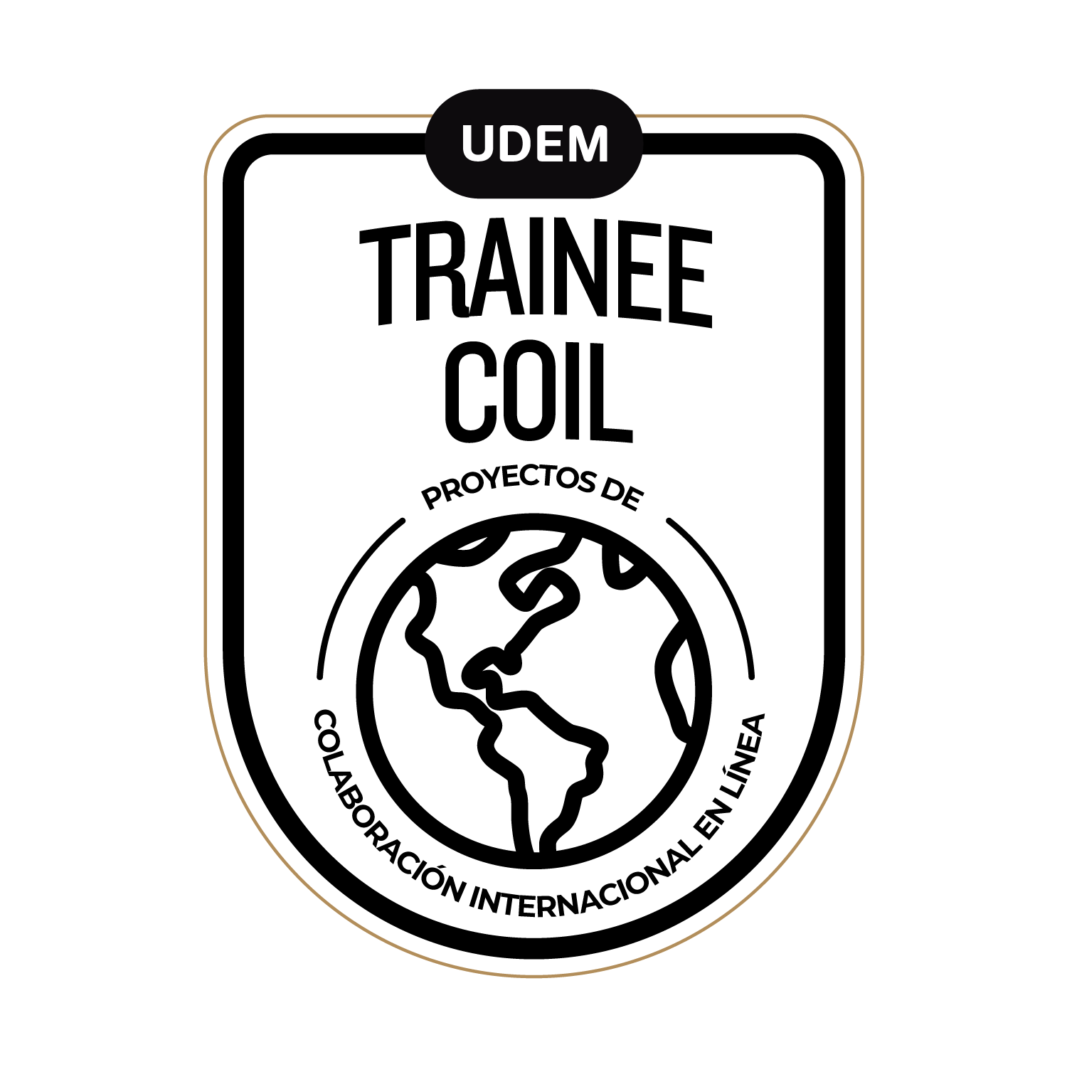 Metodología COIL - Trainee
