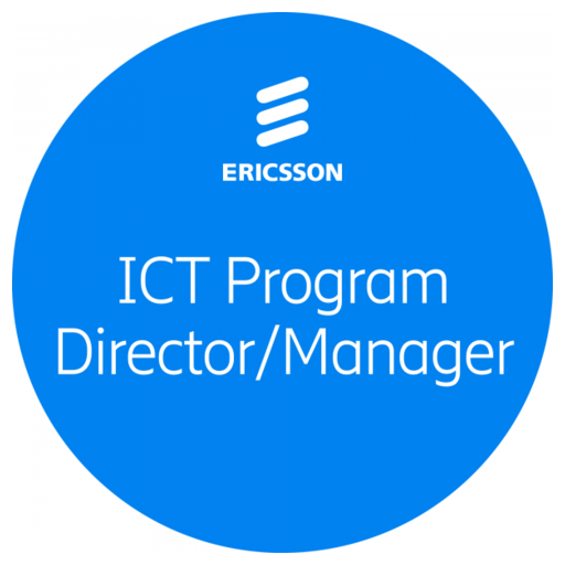 ICT Program Director/Manager - Global Individual Assessment Program ...