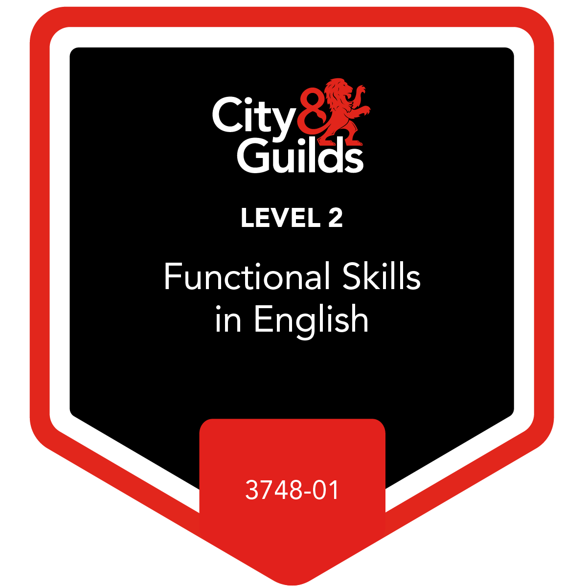 Functional Skills in English at Level 2 - 3748-01