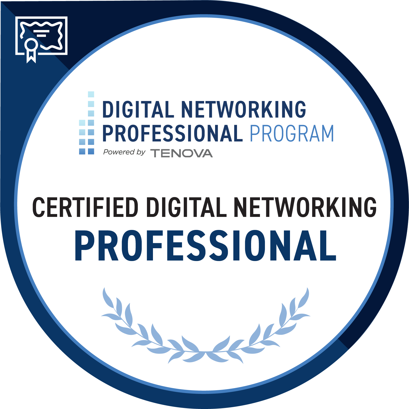 DNPP Certified Digital Networking - Professional (CDN-P)