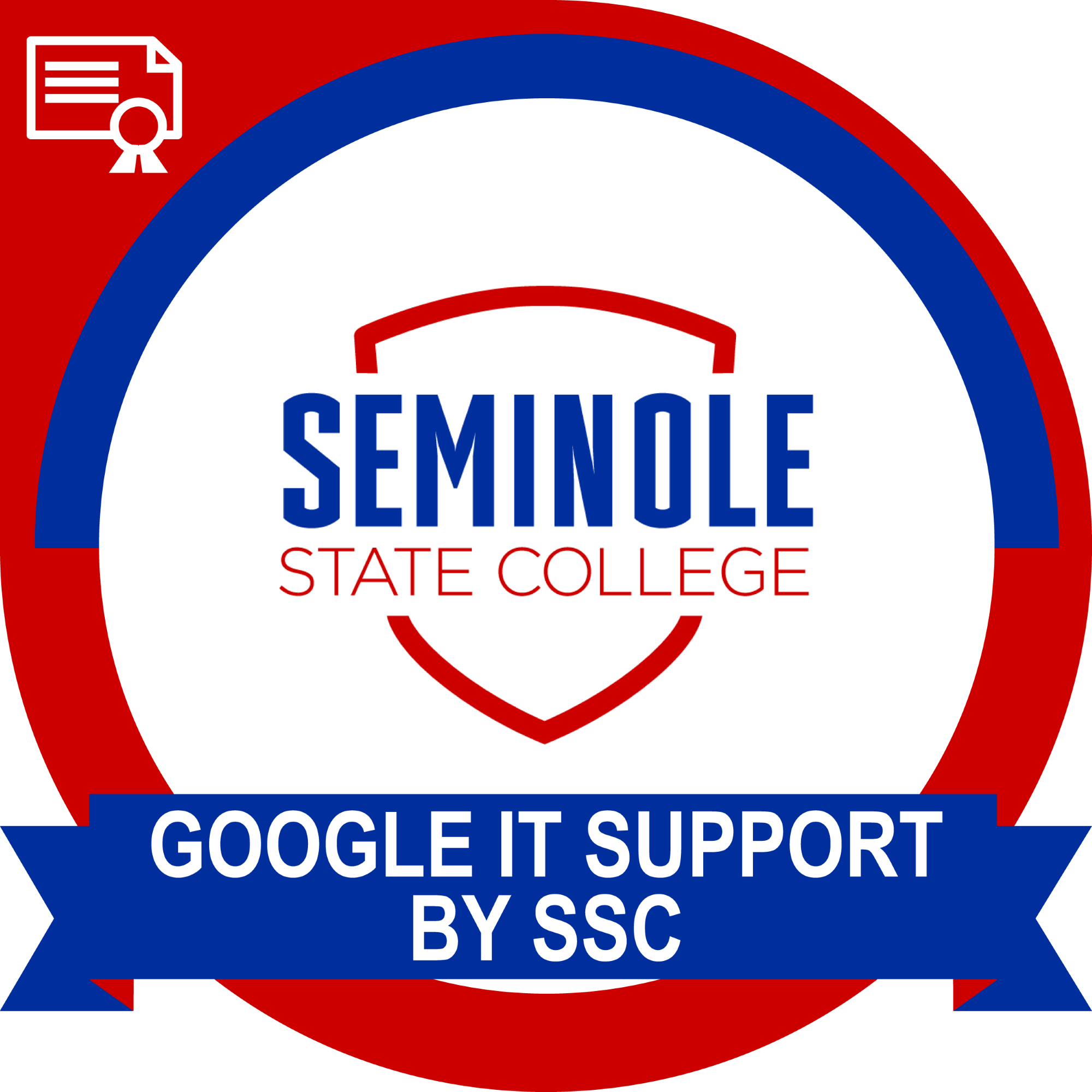 Google IT Support by SSC