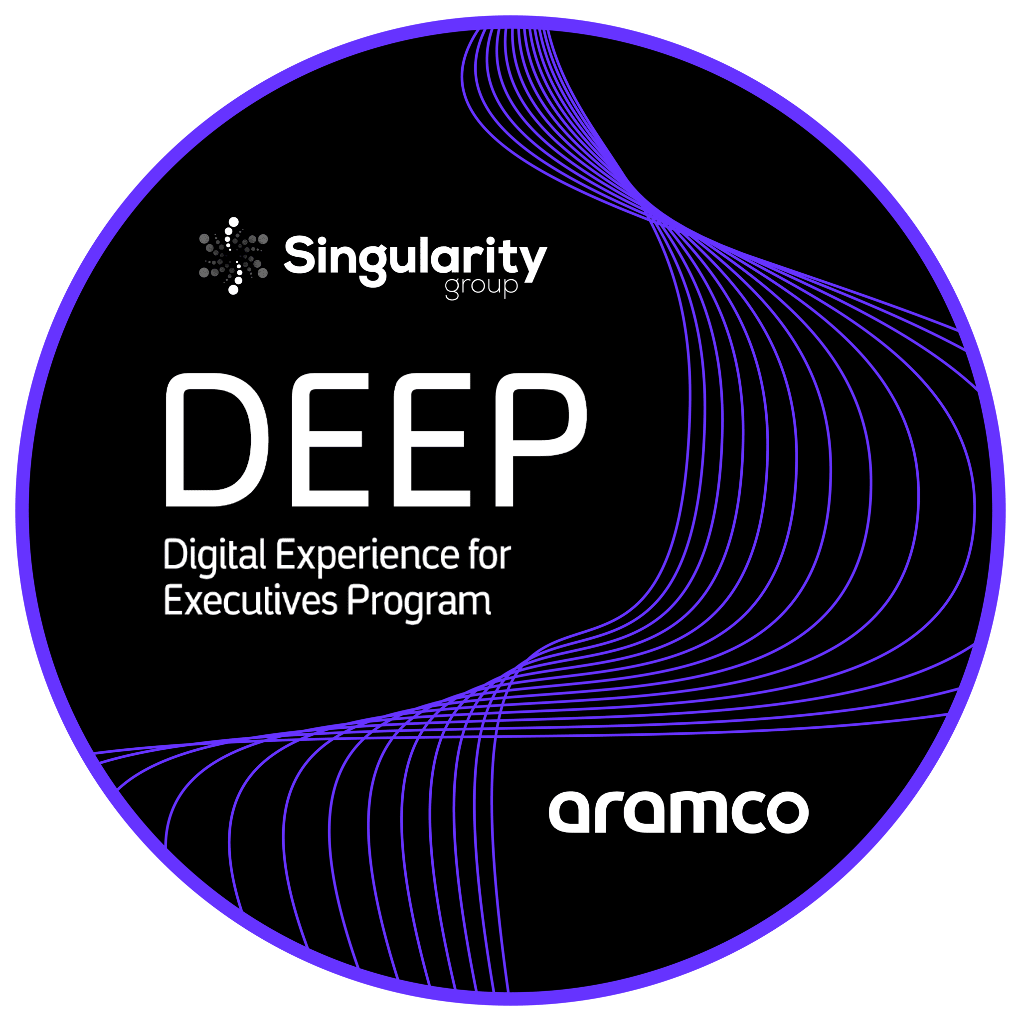 Singularity Digital Experience for Executives Program