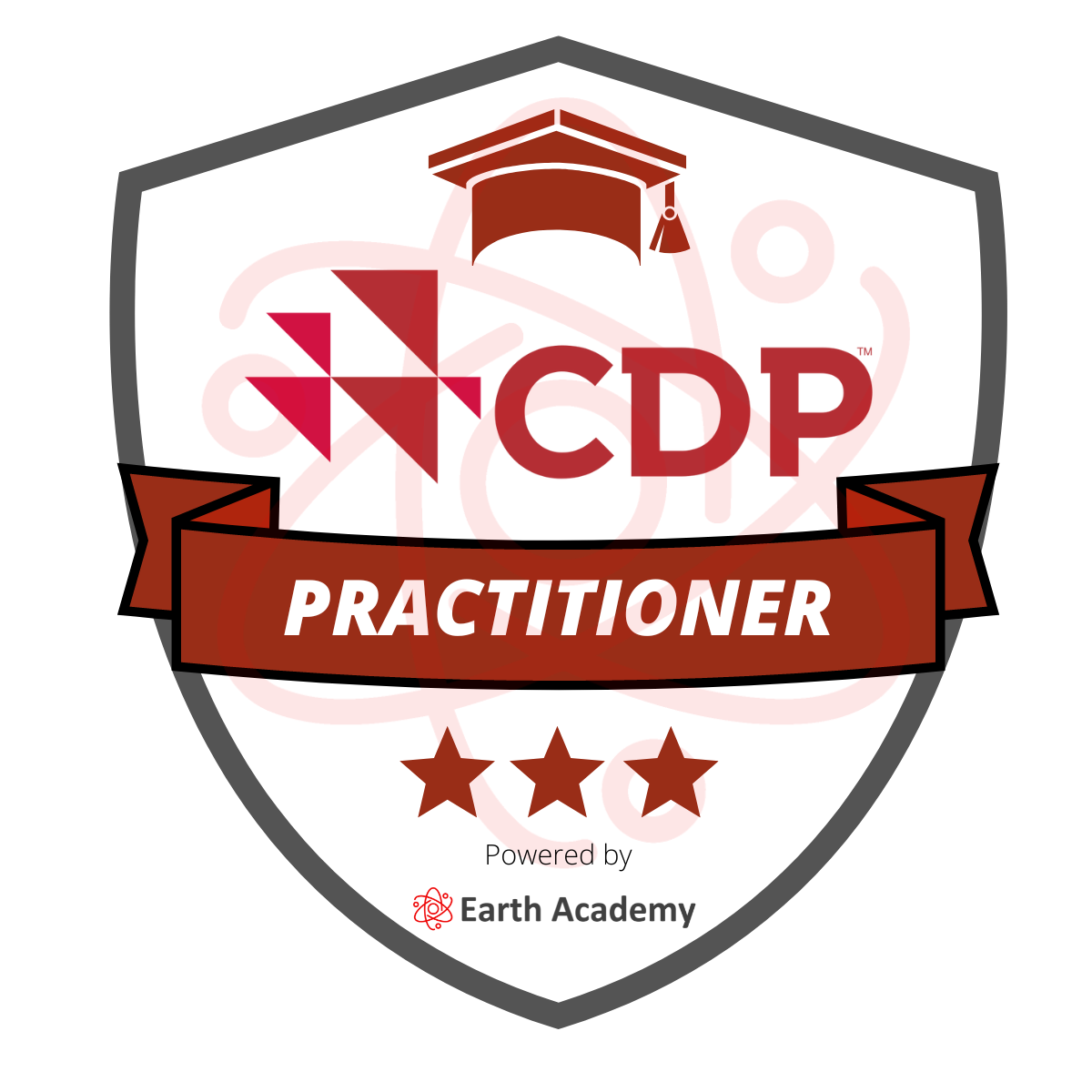 CDP Practitioner