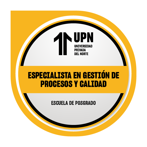 Especialista en Gestión de Procesos y Calidad