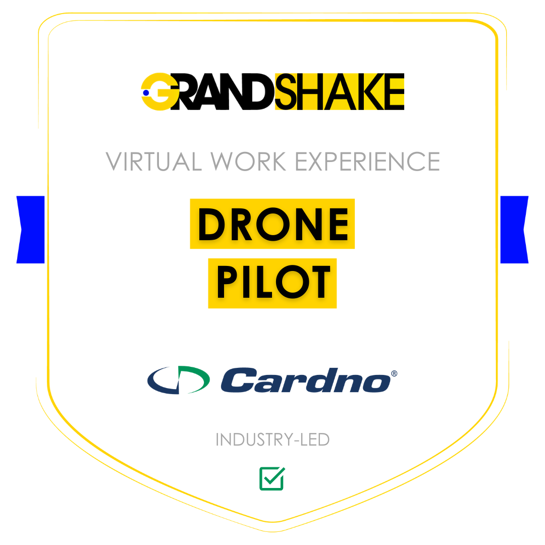 Drone Pilot virtual work experience
