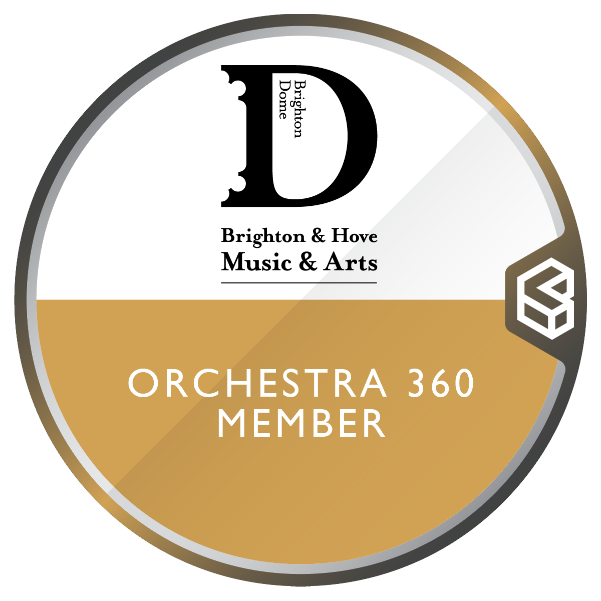 Brighton & Hove Music & Arts Orchestra 360 Member