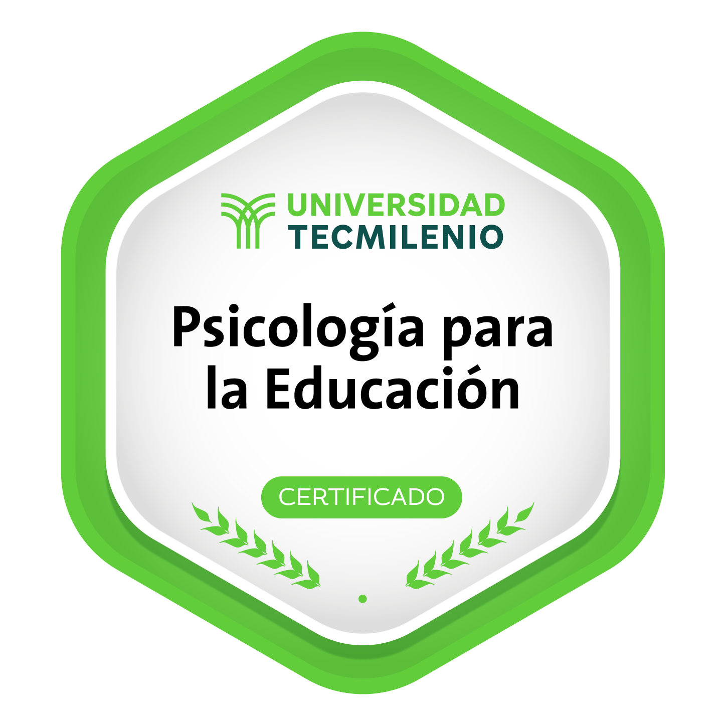 Psicología para la Educación