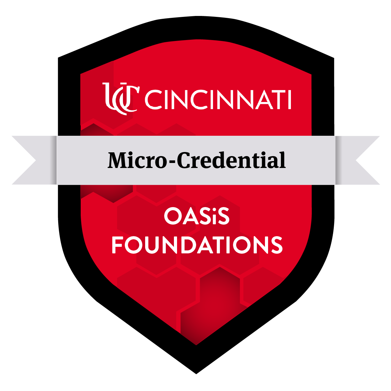 OASiS Foundations Program