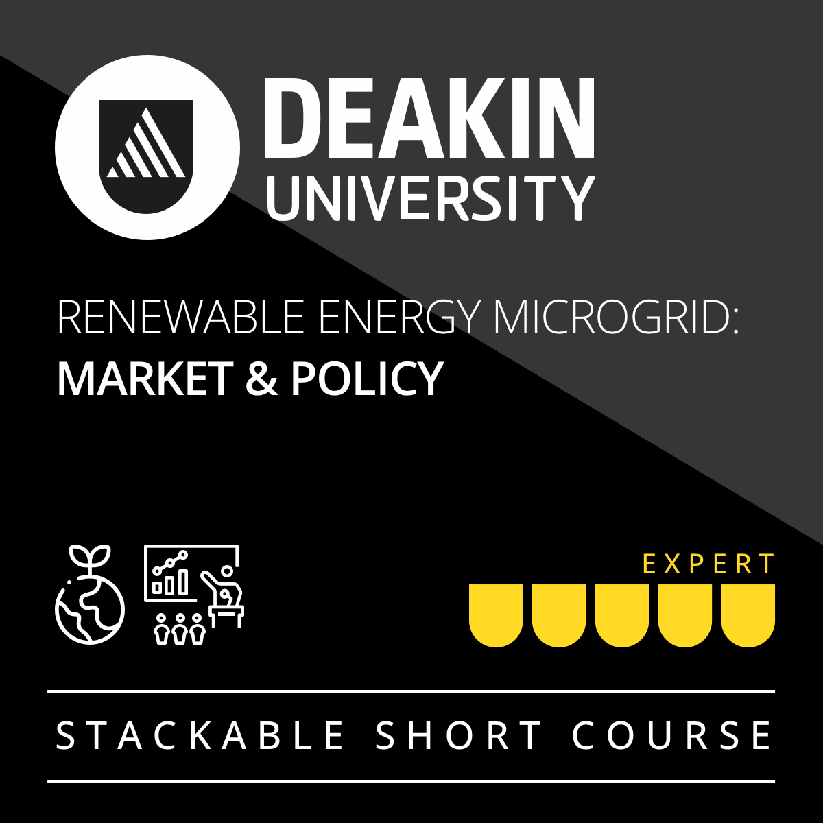 Renewable Energy Microgrid: Market and Policy