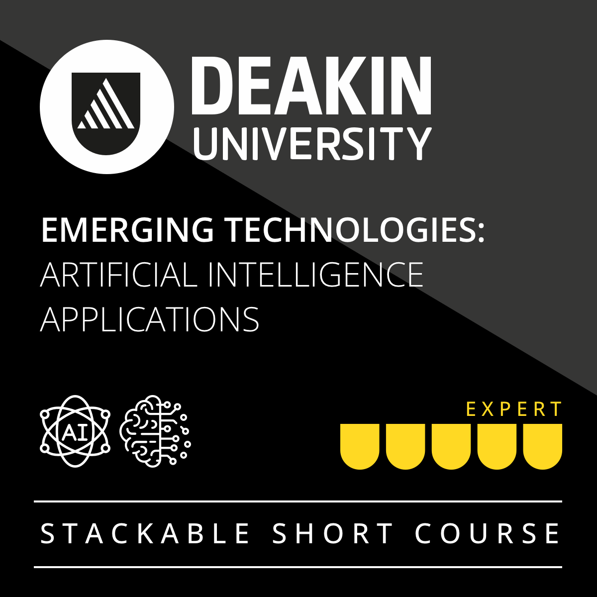 Emerging Technologies: Artificial Intelligence Applications