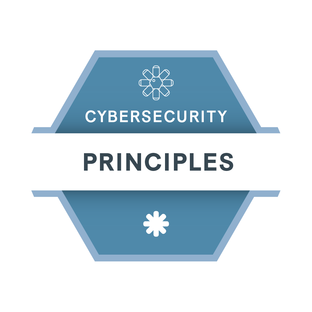 Cybersecurity Principles
