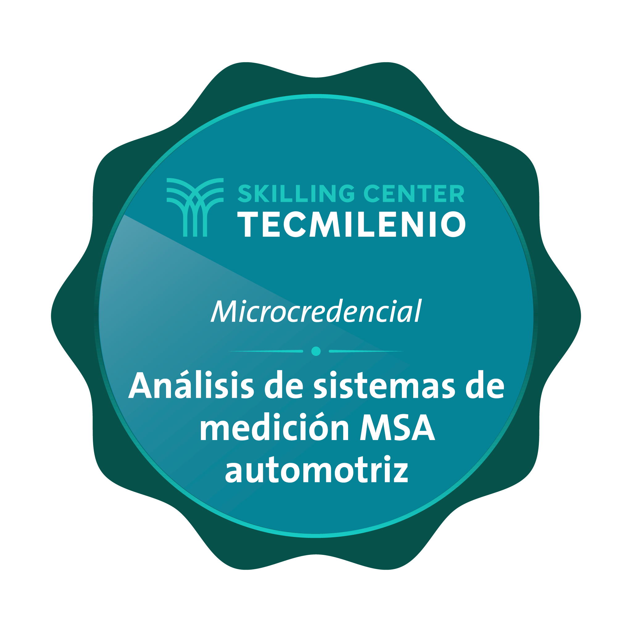 Microcredencial Análisis de sistemas de medición MSA automotriz
