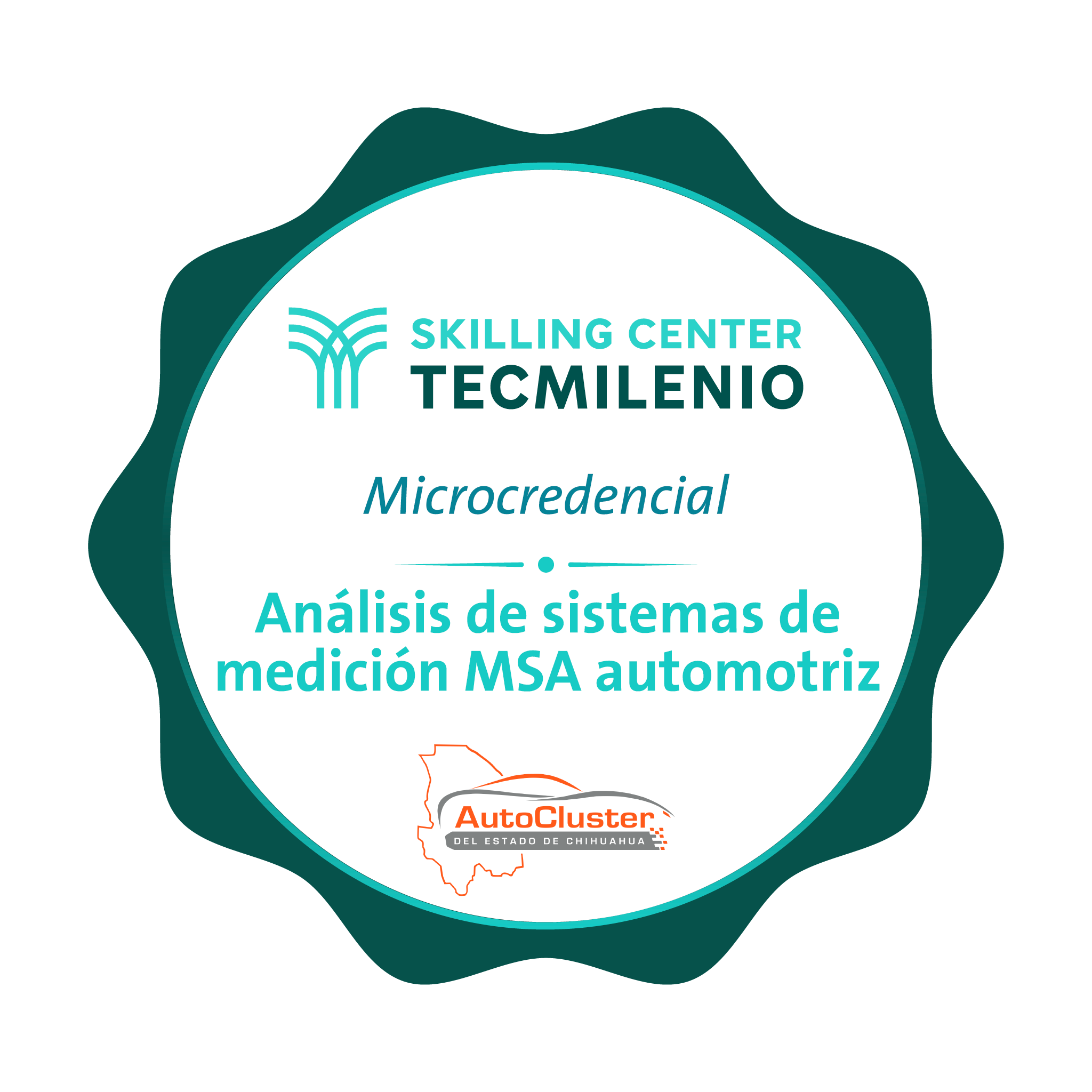 -Microcredencial Análisis de sistemas de medición MSA automotriz