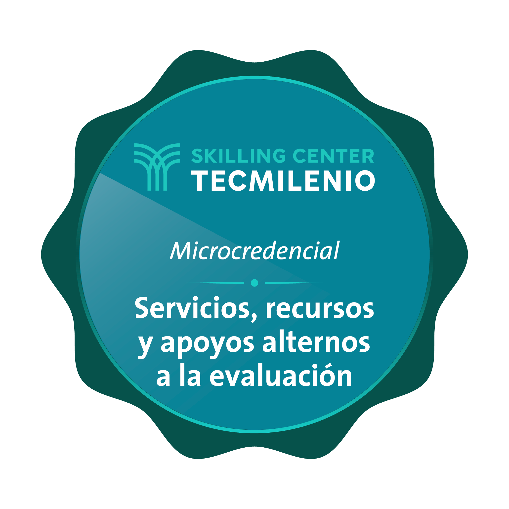 Microcredencial Servicios, recursos y apoyos alternos a la evaluación