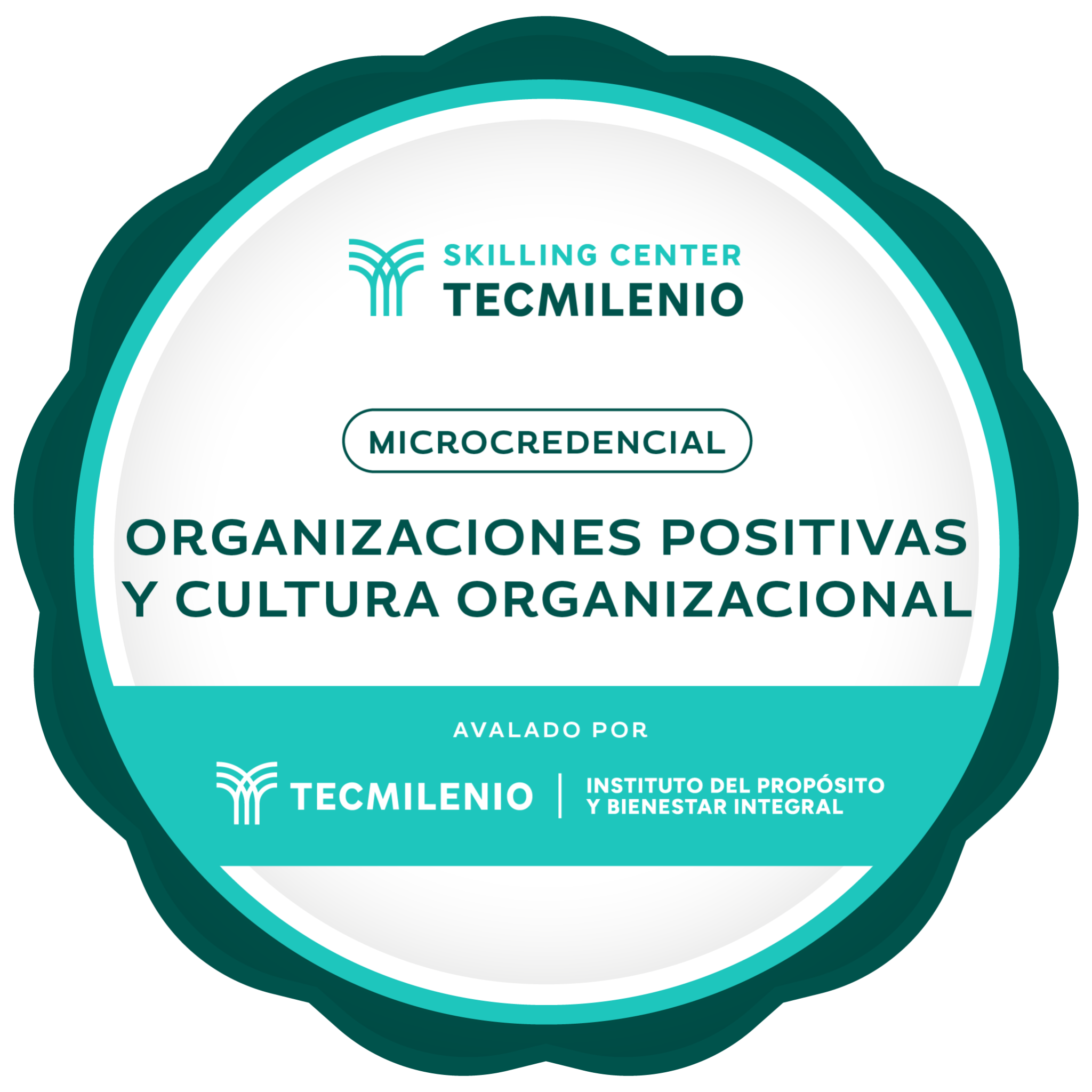 Microcredencial Organizaciones positivas y cultura organizacional