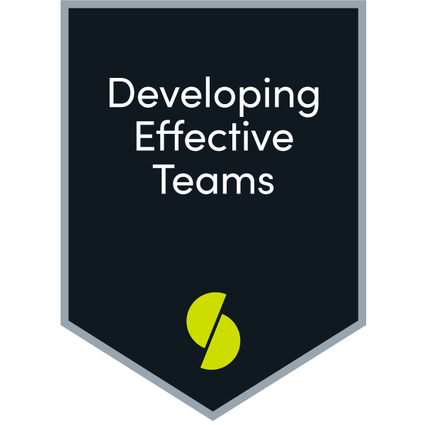 Developing Effective Teams (BUS1200 - 2018)