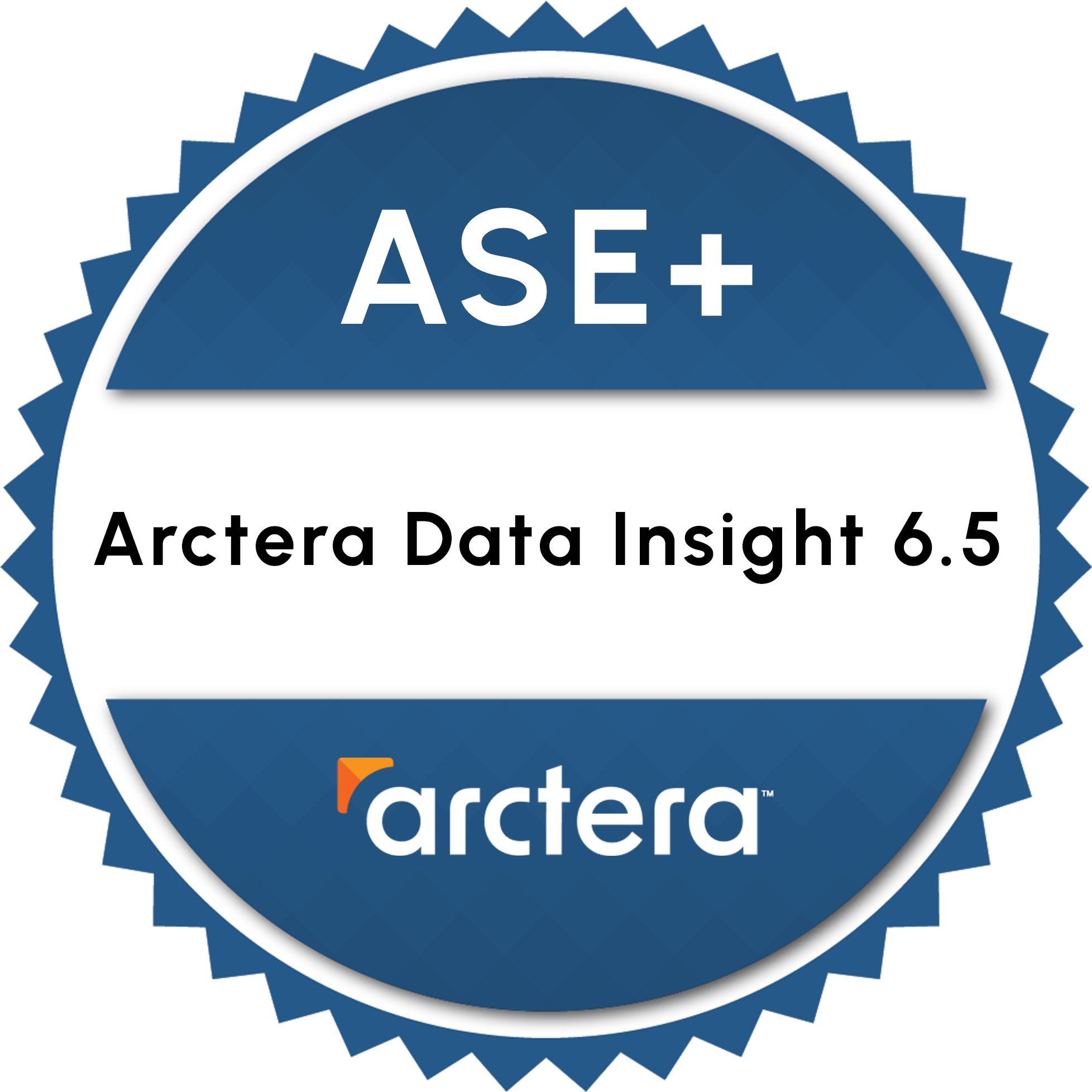 ASE+ Arctera Data Insight 6.5