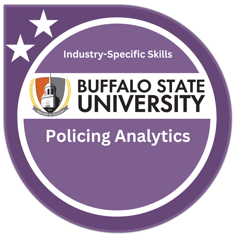 Policing Analytics