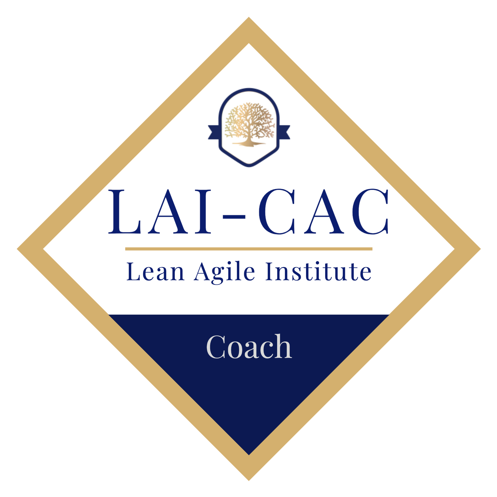 Certified Agile Coach