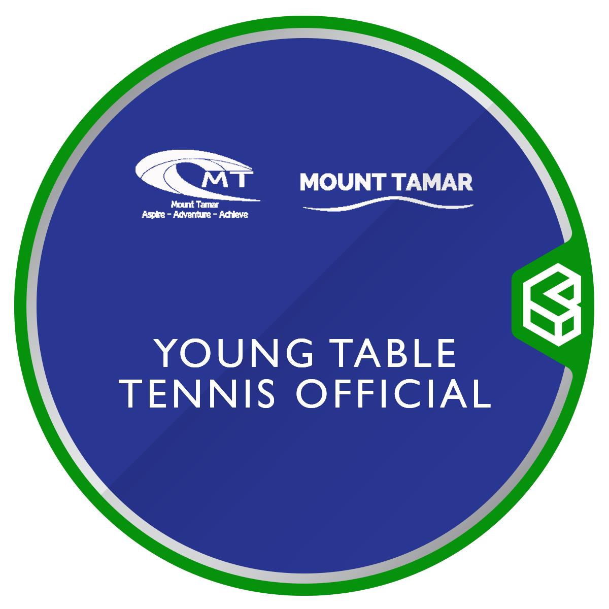 Table Tennis Official Understanding and Knowing the Rules