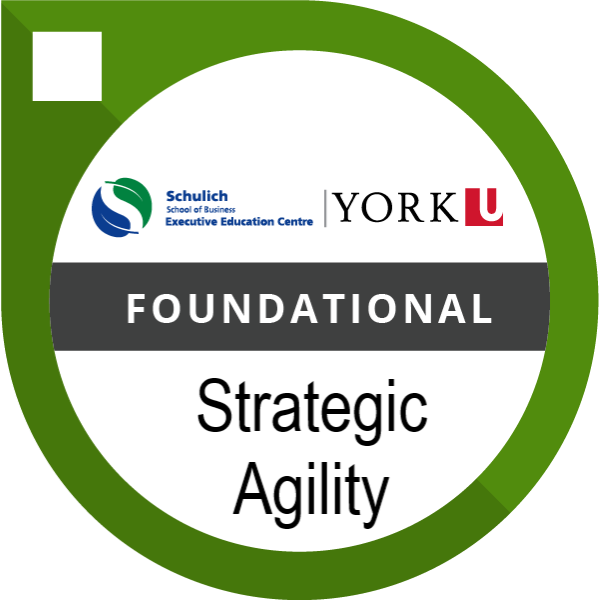 Foundational Strategic Agility