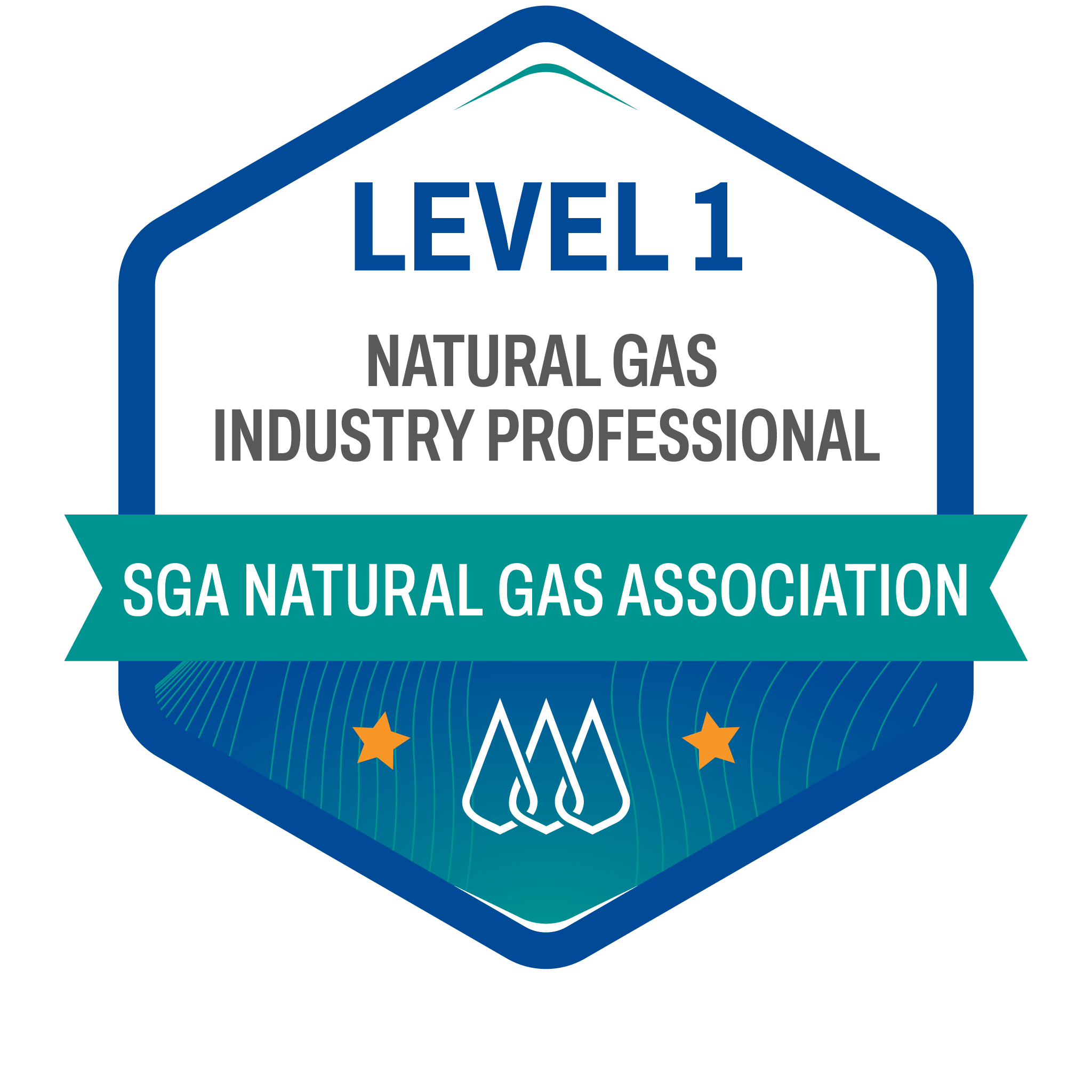 Level 1 Natural Gas Industry Professional