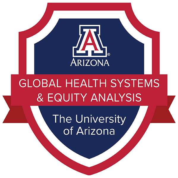 Global Health Systems & Equity Analysis