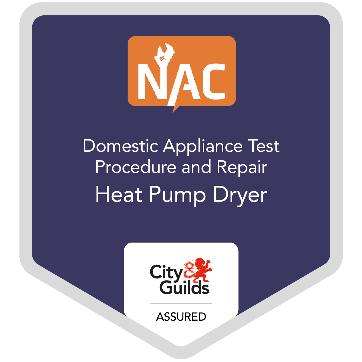 NAC Domestic Appliance Test Procedure and Repair Heat Pump Dryer Credly