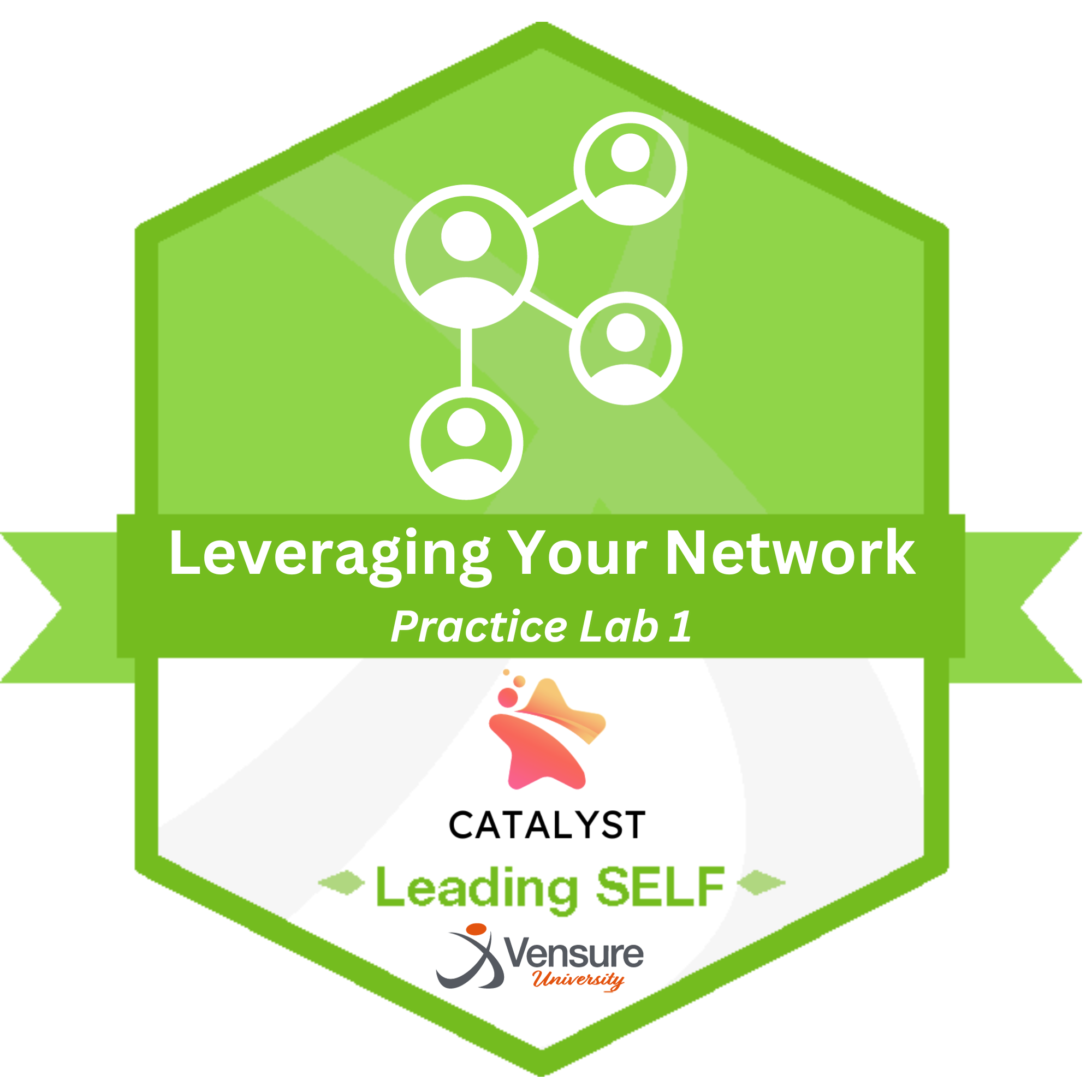 LEADING SELF Leveraging Your Network Practice Lab 1 (Catalyst