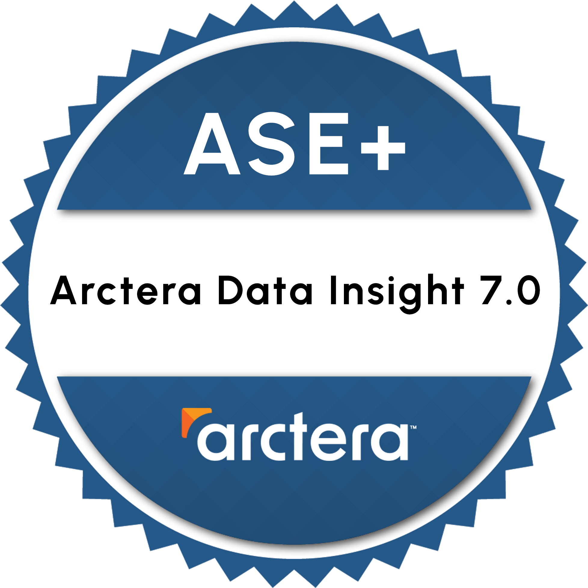 ASE+ Arctera Data Insight 7.0