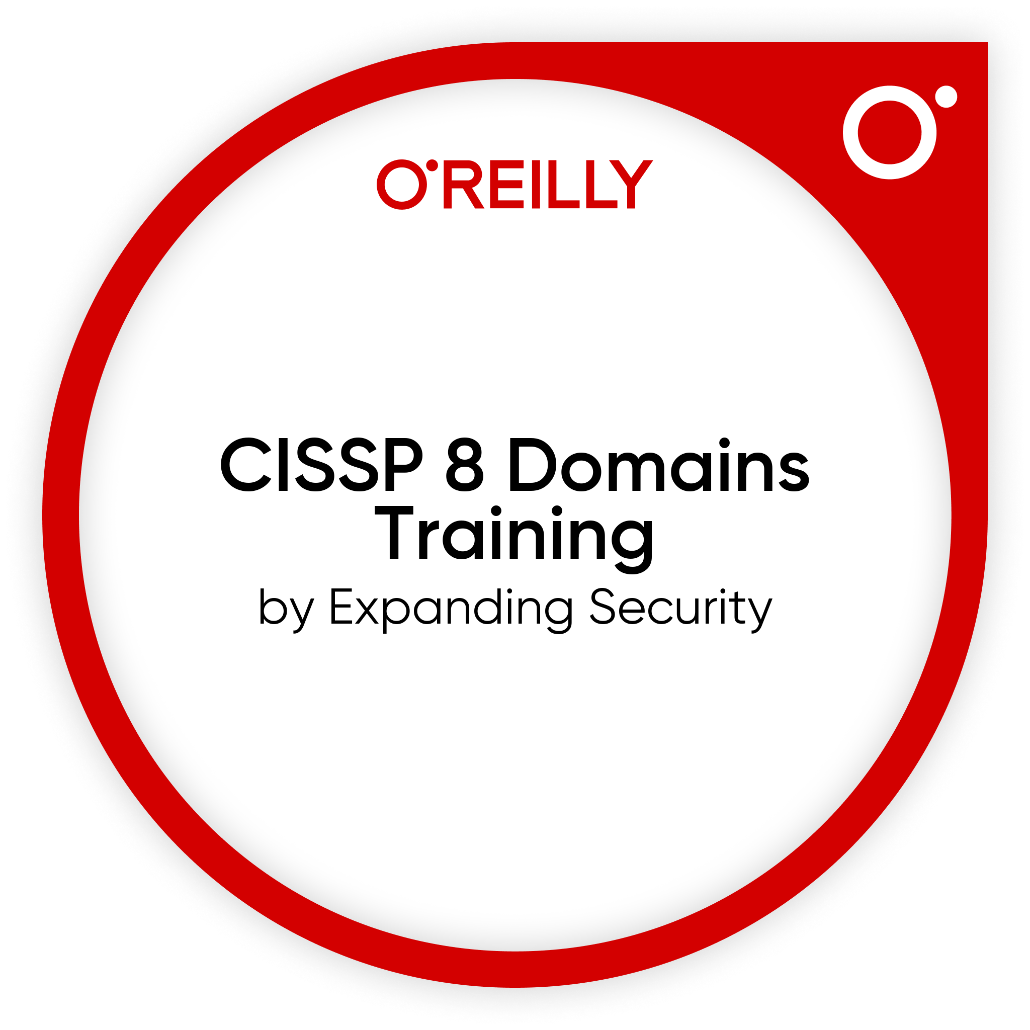 CISSP 8 Domains Training