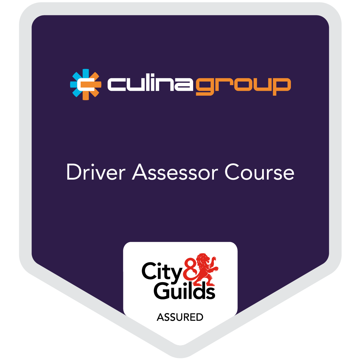 Driver Assessor Course Credly