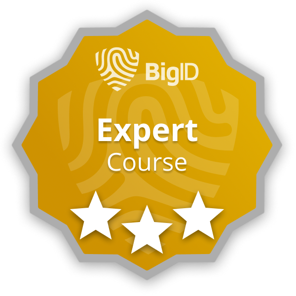BigID Expert Course