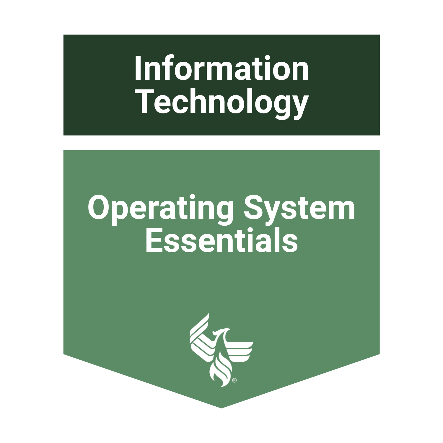 Operating System Essentials