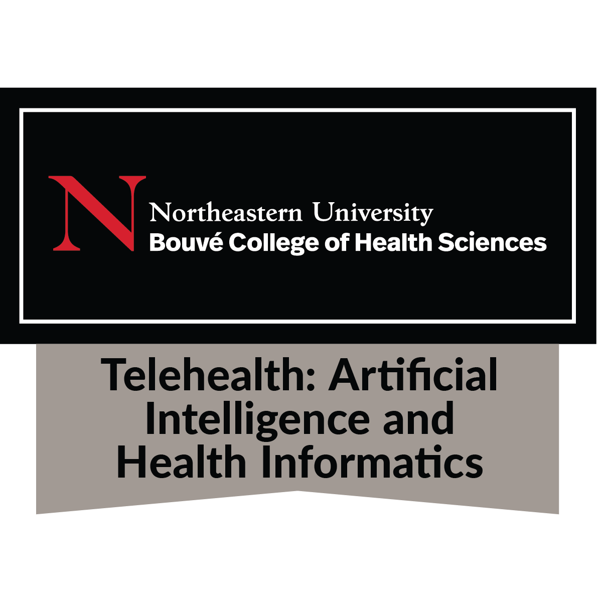Telehealth: Artificial Intelligence and Health Informatics