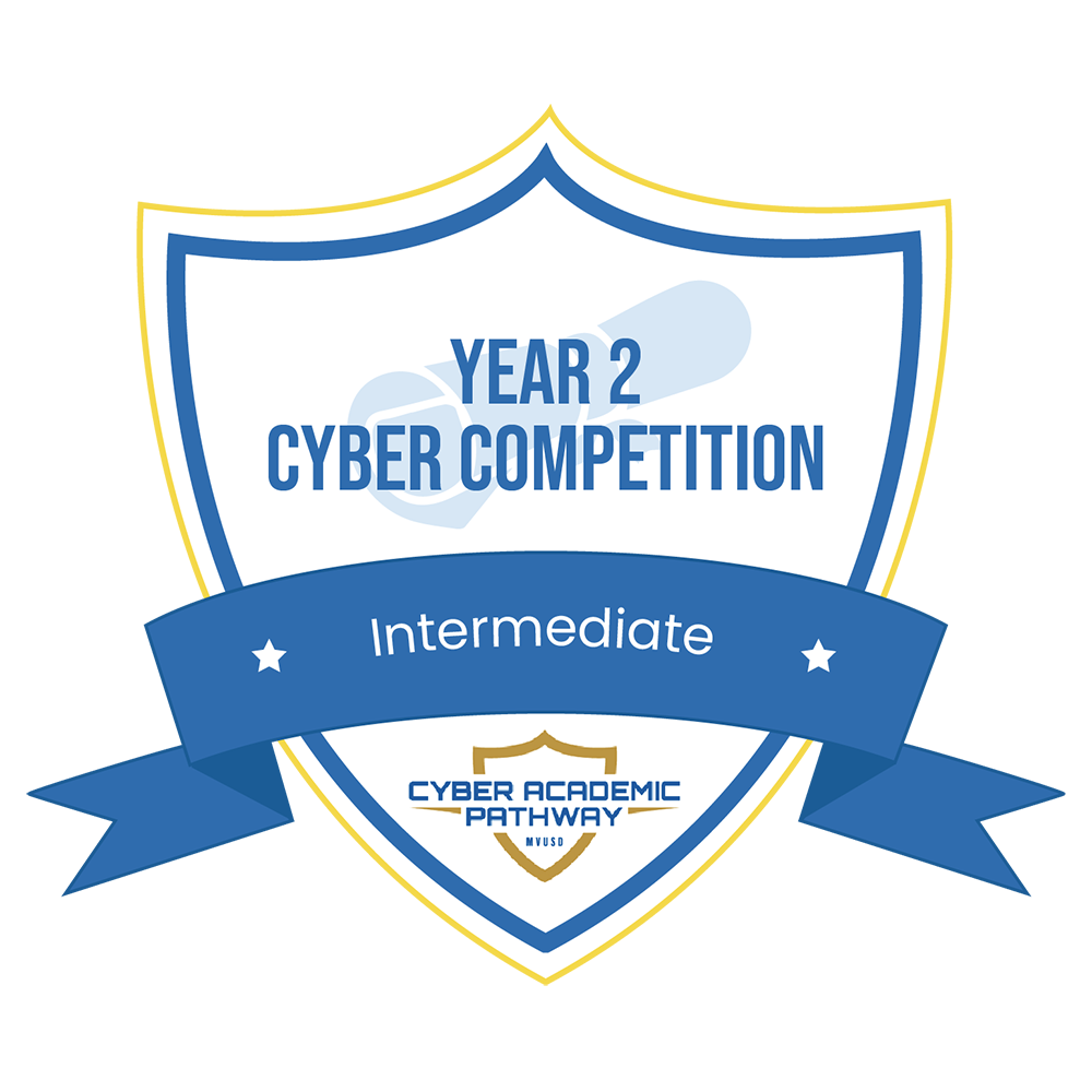 Year 2 Cyber Competition