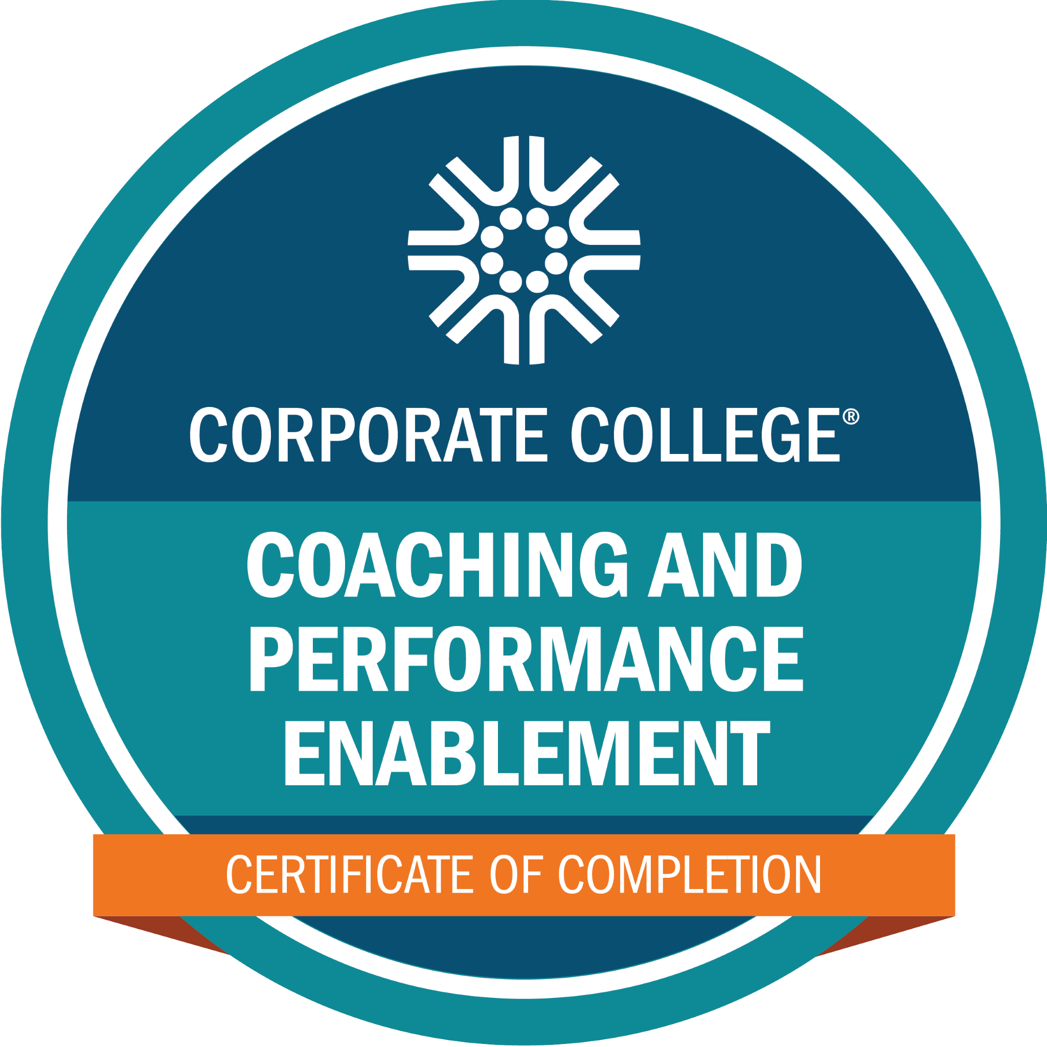 Coaching and Performance Enablement