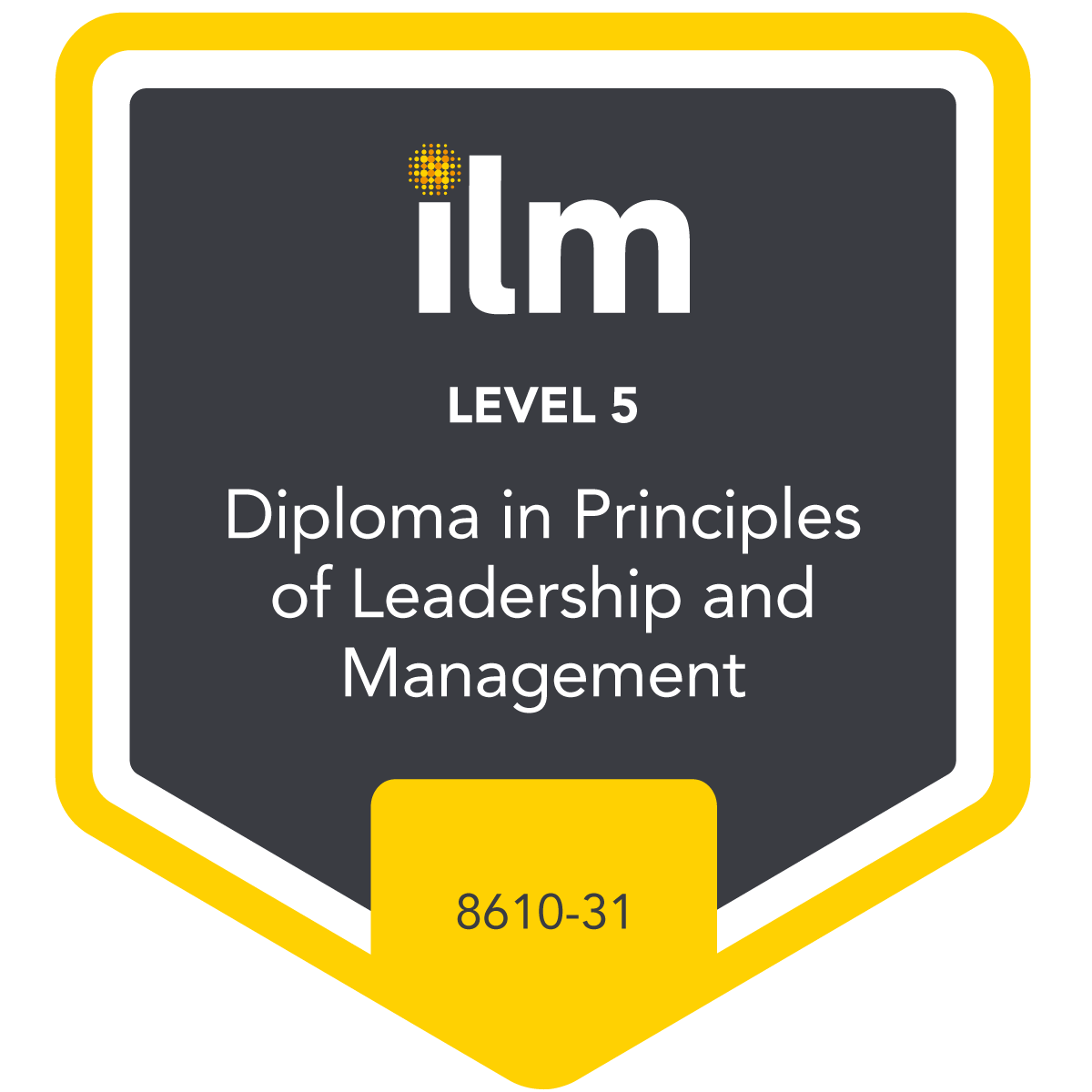 Level 5 Diploma in Principles of Leadership and Management - 8610-31