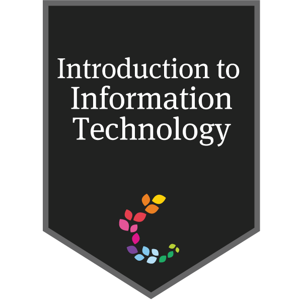 Introduction to Information Technology (CS1001 - 2017)