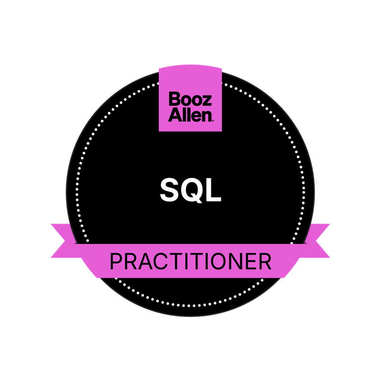 SQL Practitioner