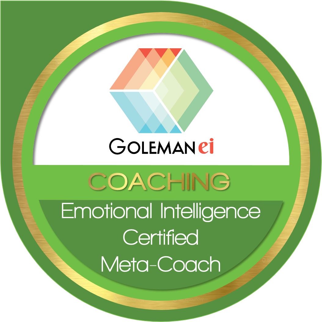 Emotional Intelligence Certified Meta-Coach