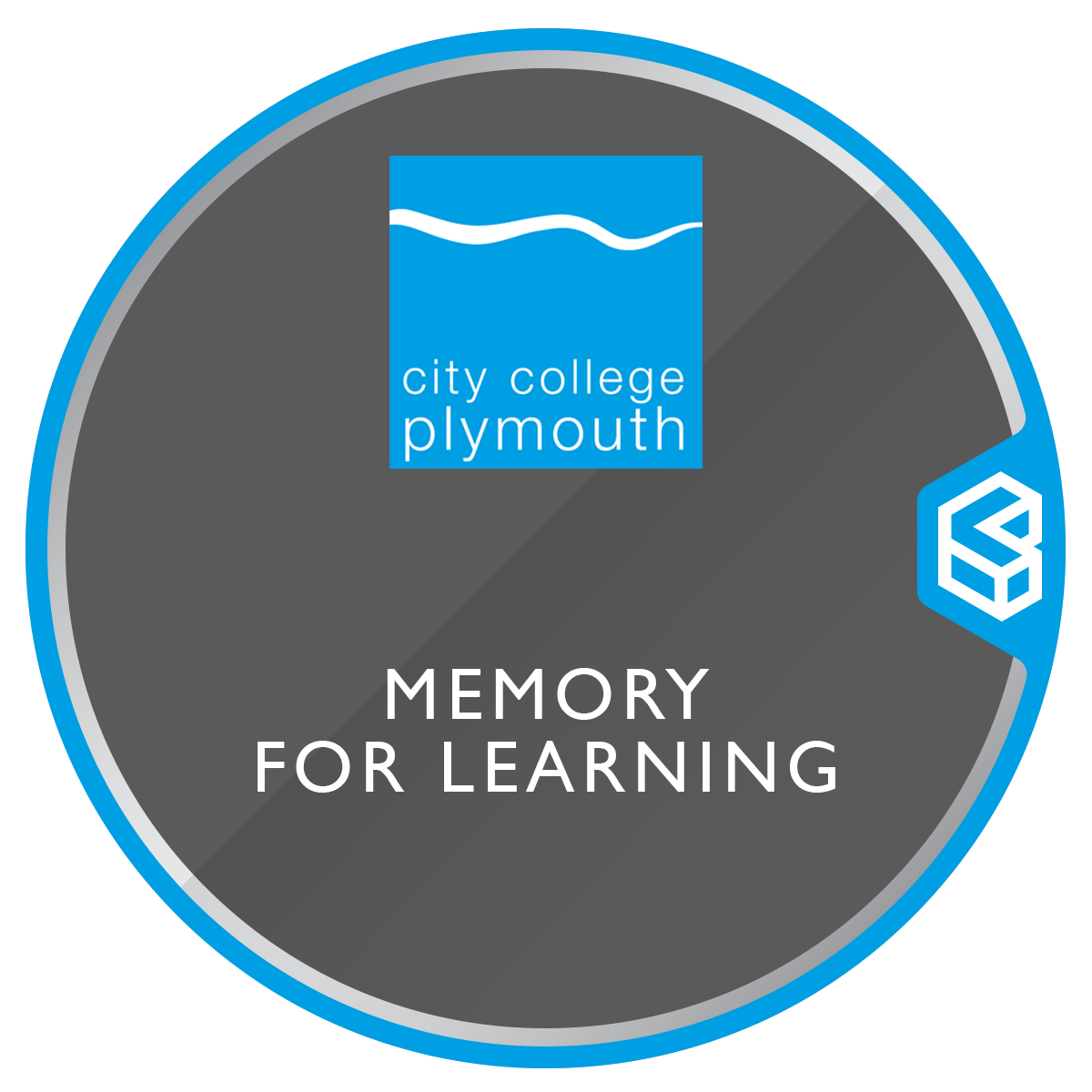 Access to HE - Memory for Learning