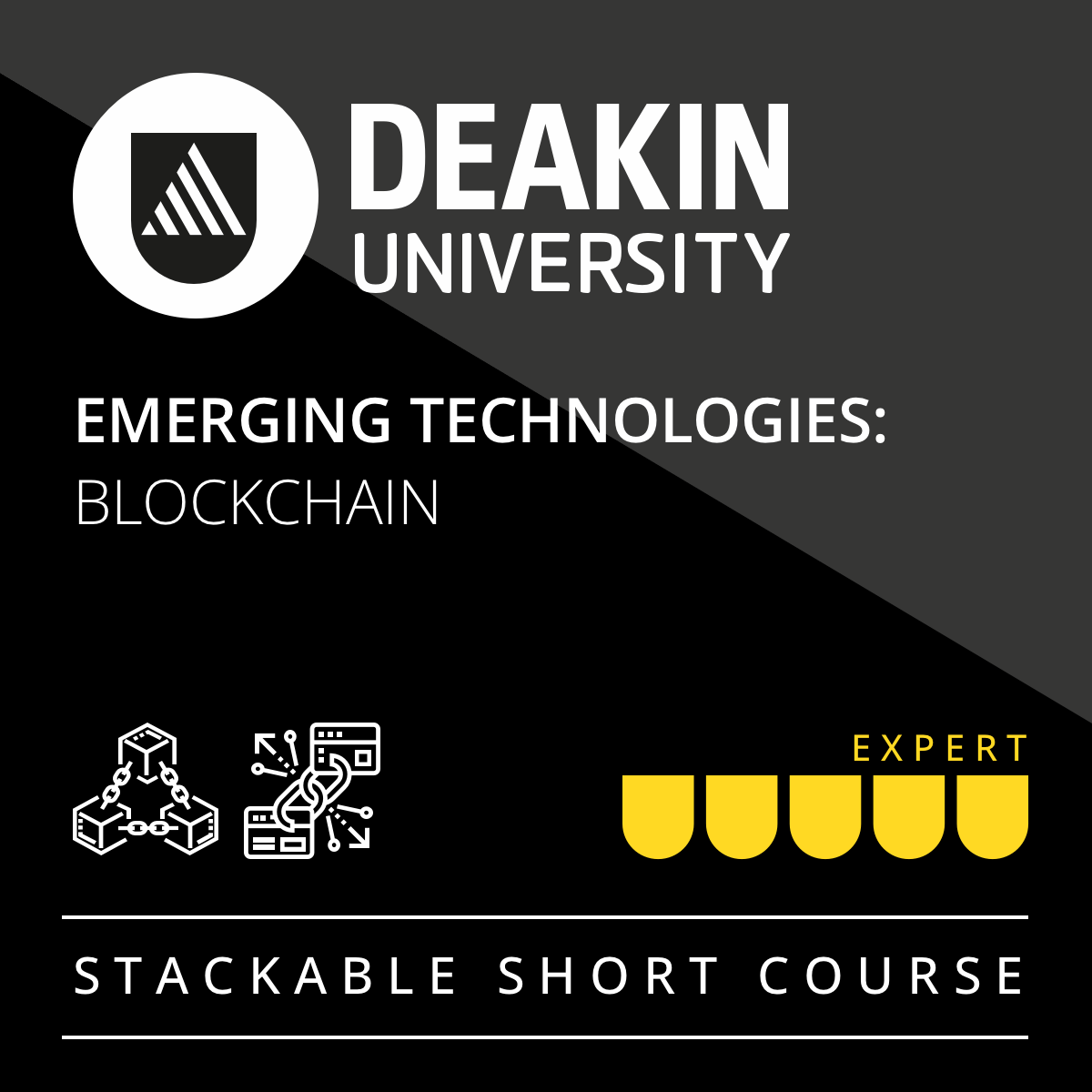 Emerging Technologies: Blockchain Technologies