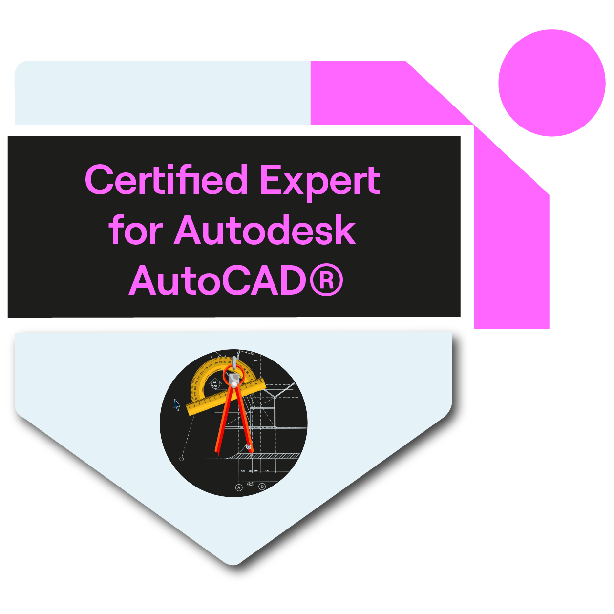Tosa for Autodesk Revit® Certified User - Expert Level