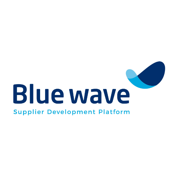 Blue Wave - Credly