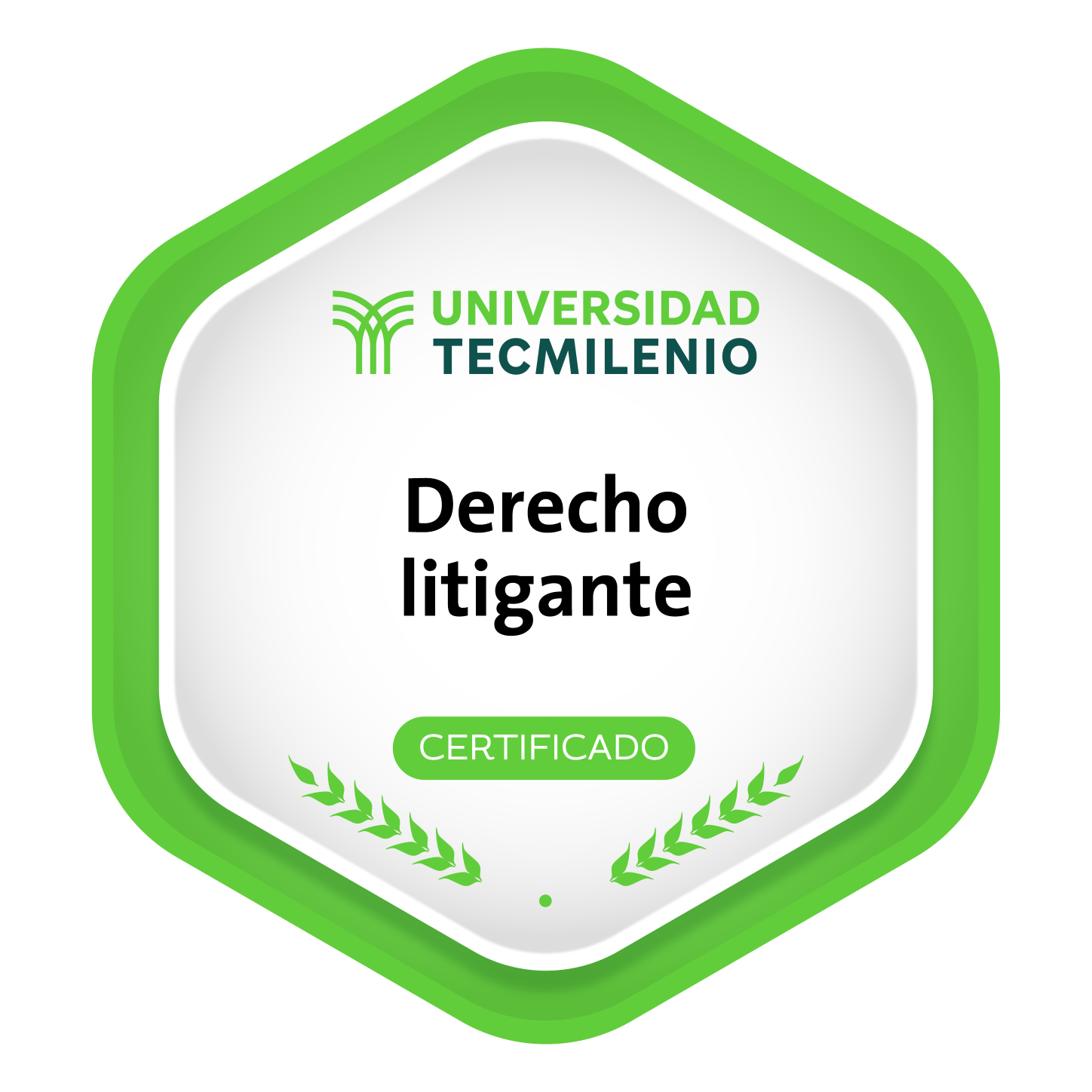 Derecho Litigante